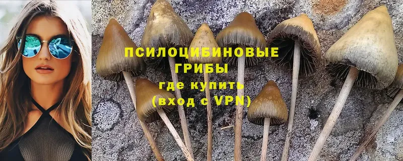 закладка  Болгар  OMG маркетплейс  Галлюциногенные грибы Magic Shrooms 