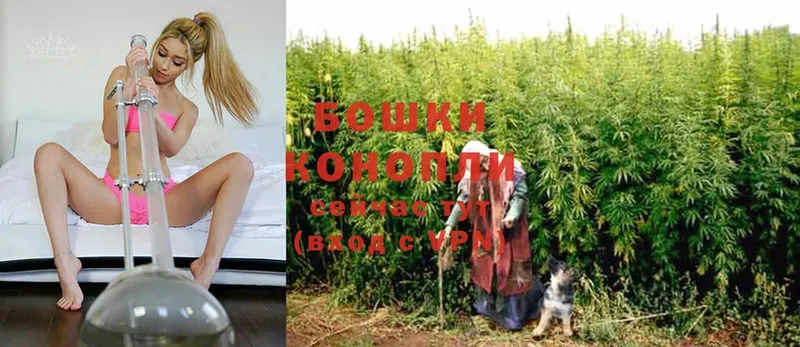 Конопля SATIVA & INDICA  Болгар 